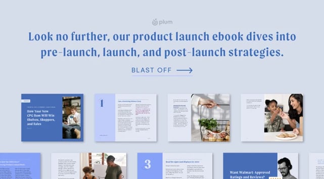 Callout14_Product-Launch-3_Plum.png